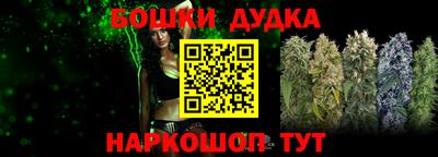шишки Обь