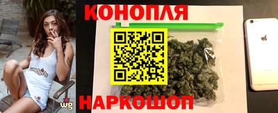 шишки Обь