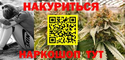 шишки Обь