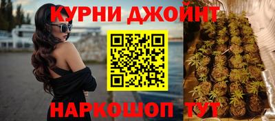 шишки Обь