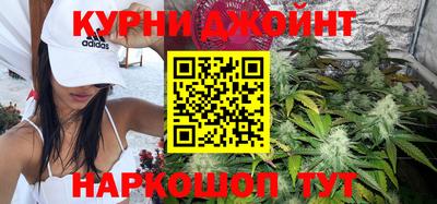 шишки Обь
