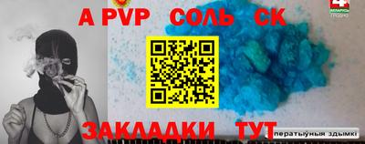 шишки Обь