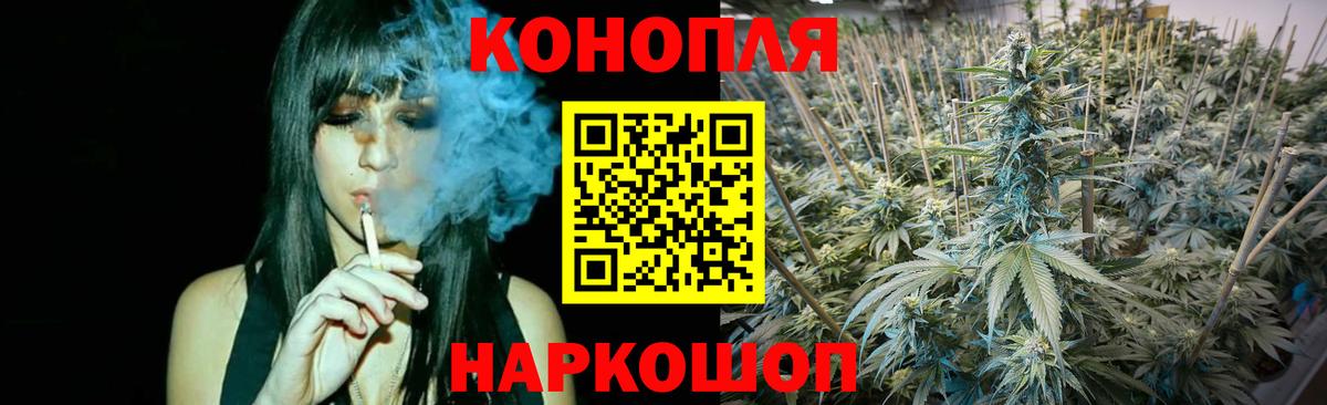 Бошки марихуана ГИДРОПОН Топки